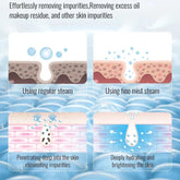 KSKIN Ionic Facial Steamer